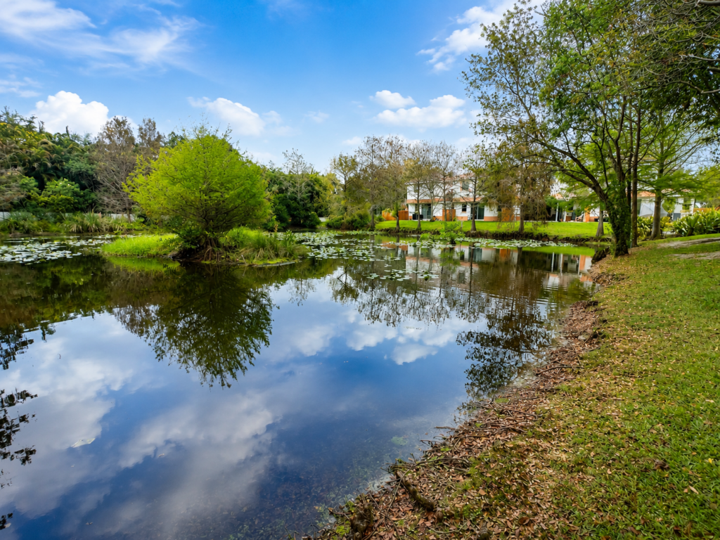 Lake